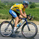 Illustration for article titled 101 Years of Tour de France Bikes Map the Evolution of Cycling